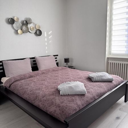 Appartement Des 3 Pays. 2 Mn De Bale+ Free Parking سا لووي المظهر الخارجي الصورة