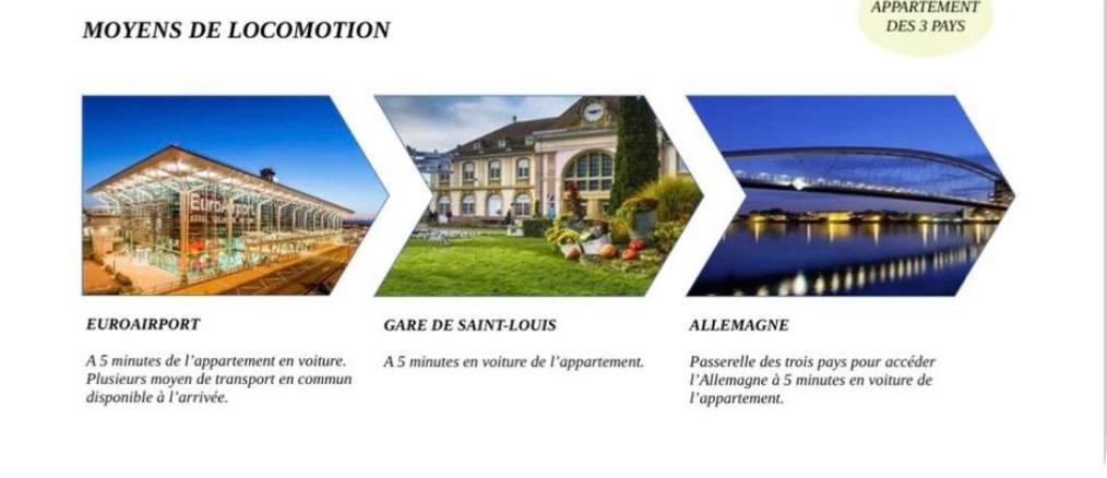 Appartement Des 3 Pays. 2 Mn De Bale+ Free Parking سا لووي المظهر الخارجي الصورة