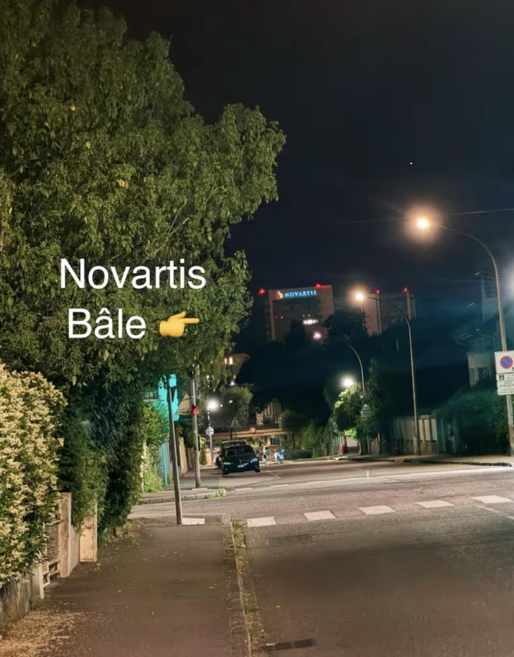 Appartement Des 3 Pays. 2 Mn De Bale+ Free Parking سا لووي المظهر الخارجي الصورة